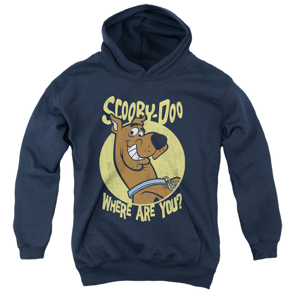 Scooby Doo Where Are You Kids Youth Hoodie Navy Blue Officially Licensed