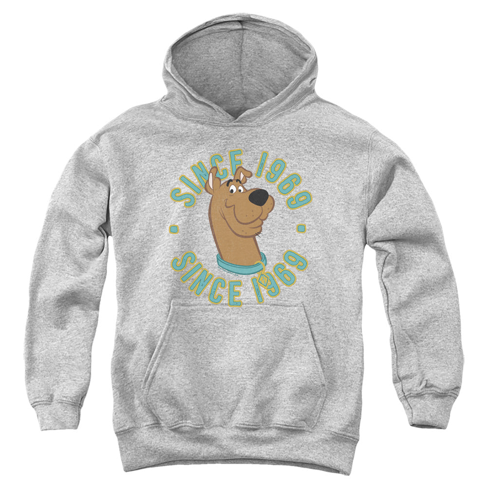 Scooby Doo Scooby 1969 Kids Youth Hoodie Athletic Heather Officially Licensed