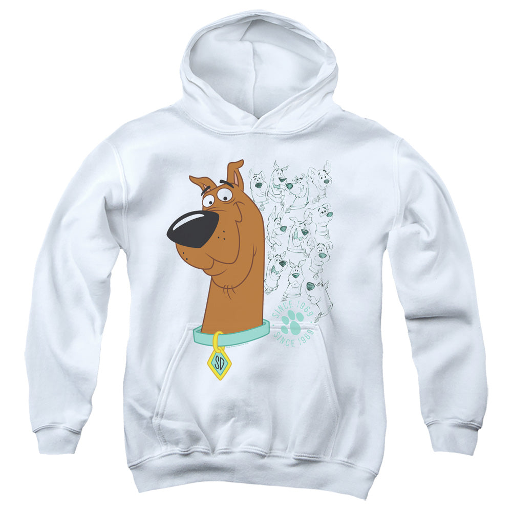 Scooby Doo Evolution Of Scooby Doo Kids Youth Hoodie White Officially Licensed