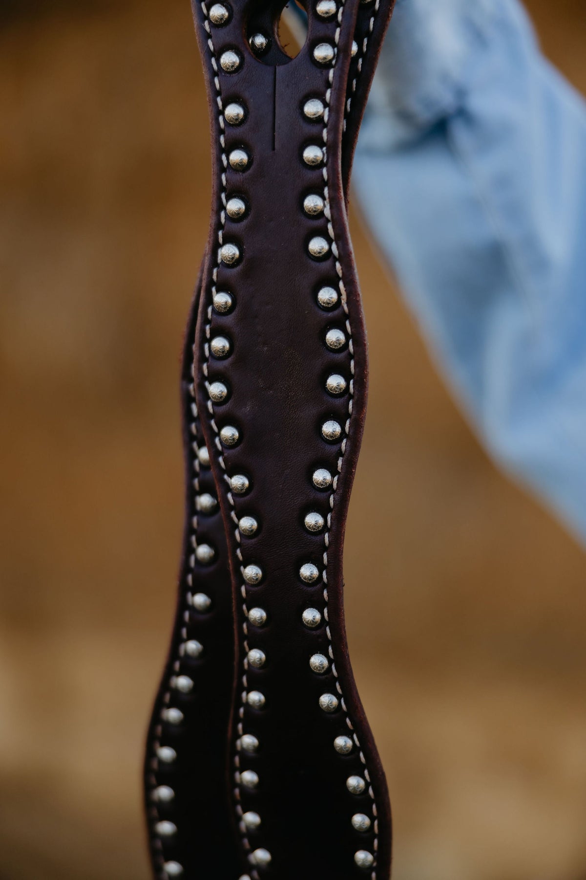 Chocolate Dotted Harness Slobber Straps