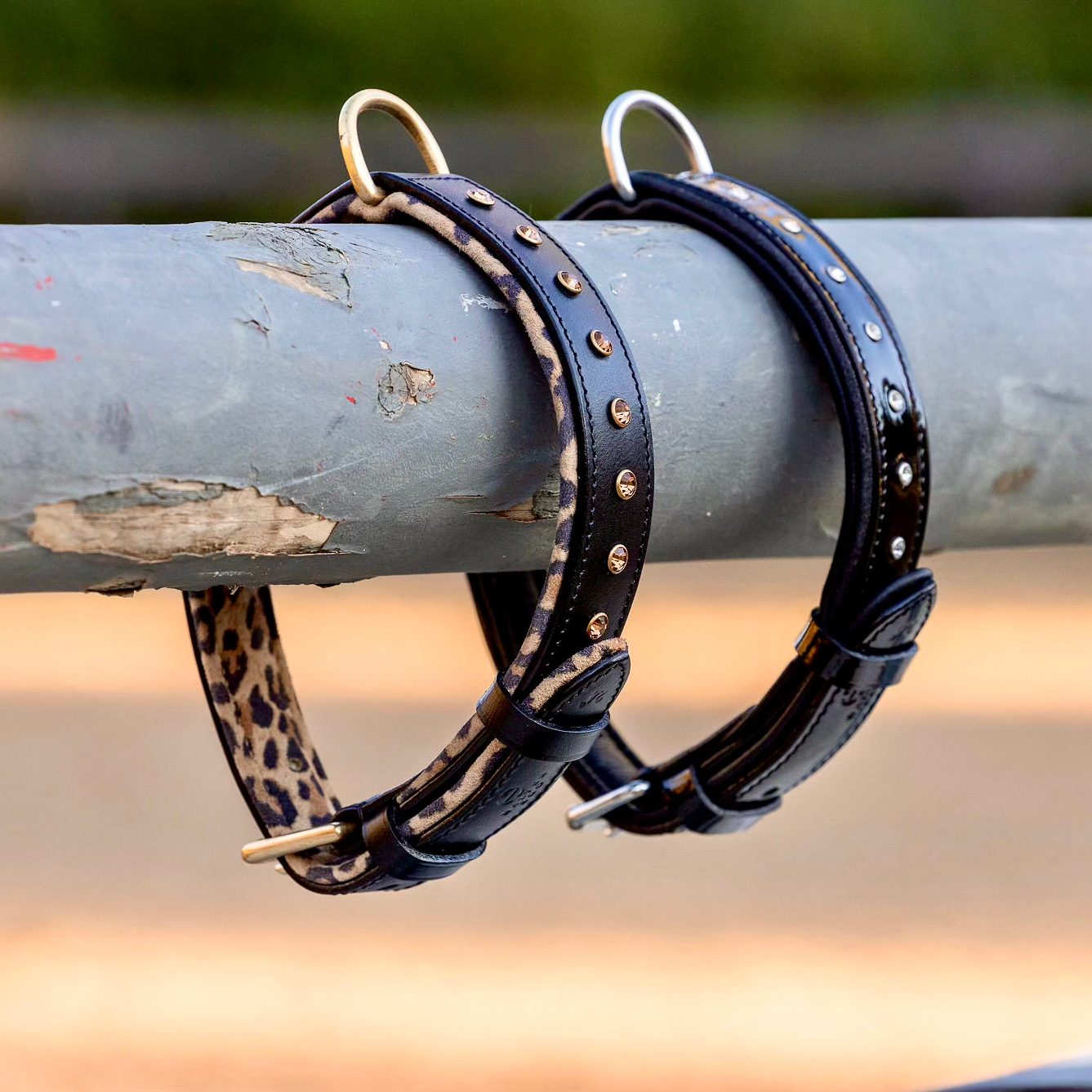 Halter Ego® Black Leather Safari Dog Collar – Triathlete Store