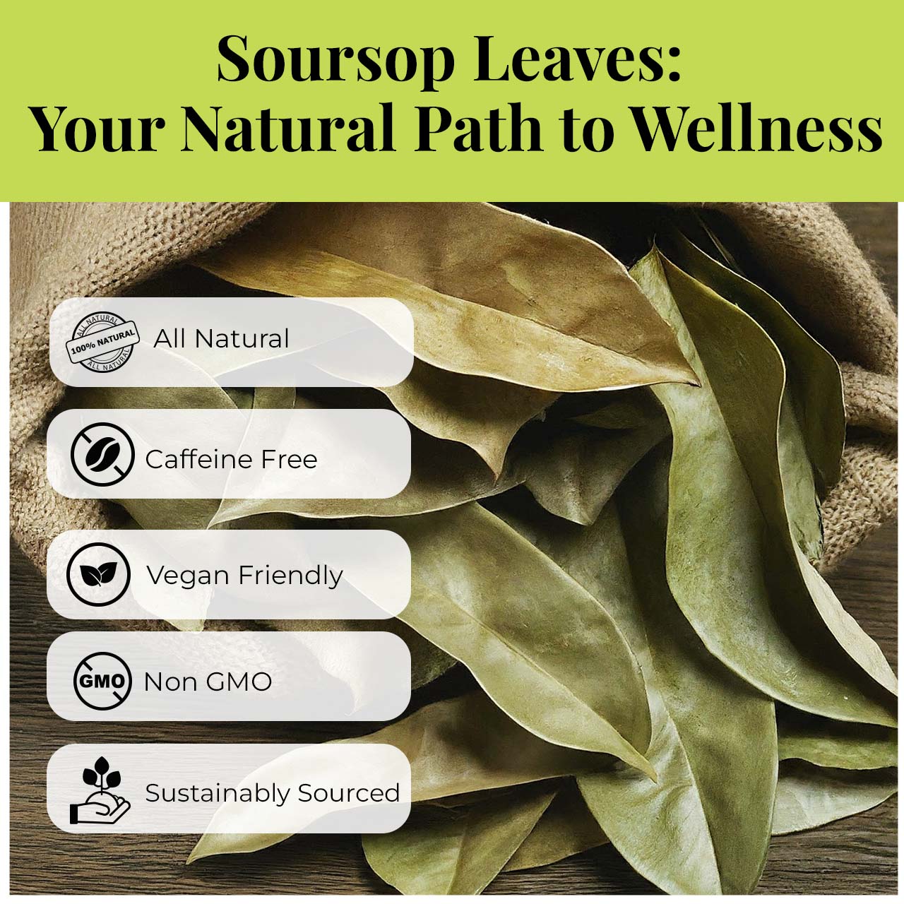 200+ Premium Dried Soursop Graviola Leaves Tea – 2.6 oz , 100% Natural Soursop Tea, Caffeine-Free Herbal Tea (Hoja Guanabana)