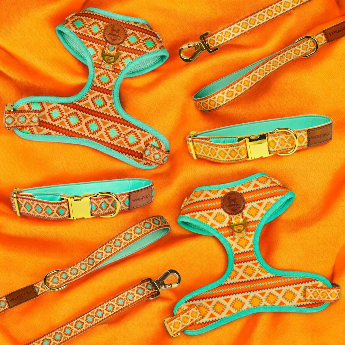 Desert Dream Leash