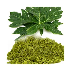 Akshit Papaya Leaf Powder, Dried Papaya Leaf, 2.6oz, Papaya Leaf Tea, Non GMO, Caffeine free, Sugar free, Gluten free, Vegan friendly | Pack of 1
