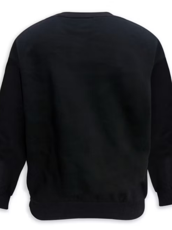 Mickey and Friends Sweatshirt For Adults