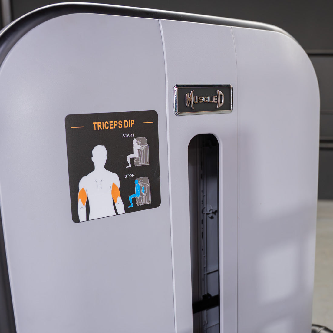 Vogue Seated Dip / Triceps Press-Down | Muscle D Fitness