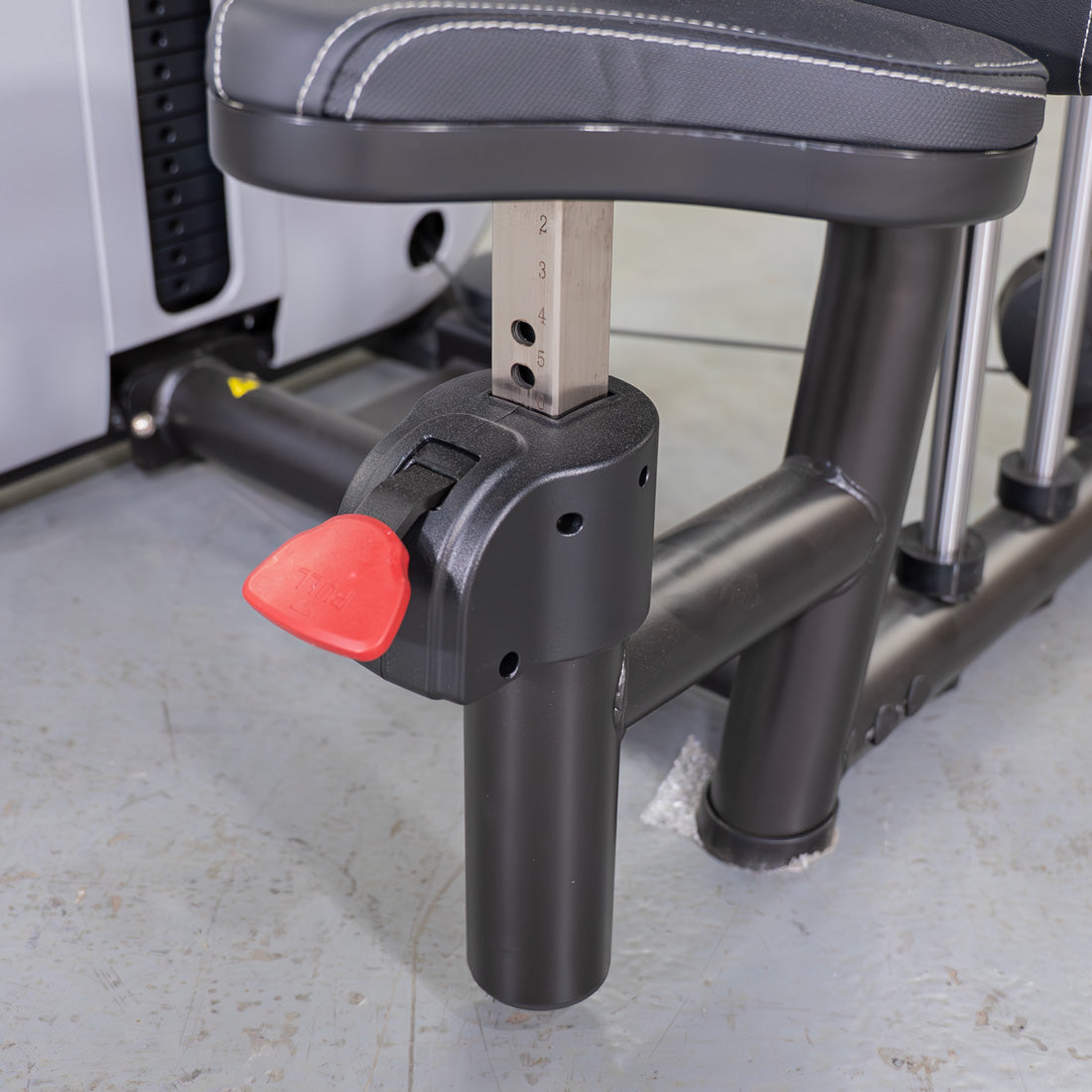 Vogue Seated Dip / Triceps Press-Down | Muscle D Fitness