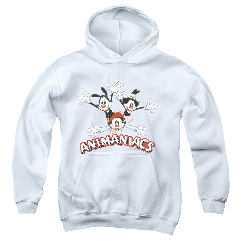 Animaniacs Animaniacs Trio Kids Youth Hoodie White Officially Licensed