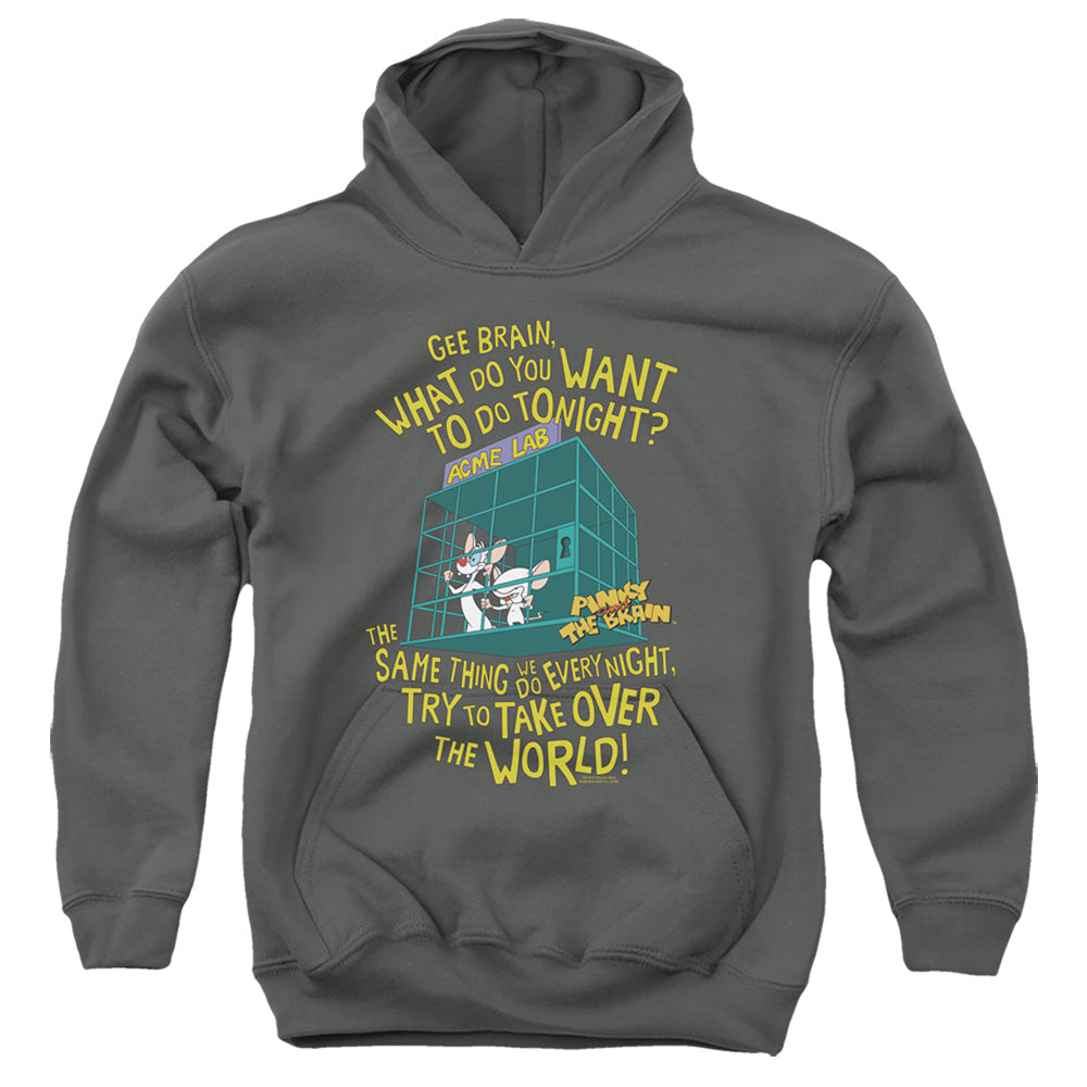 Pinky And The Brain The World Kids Youth Hoodie Charcoal Officially Licensed