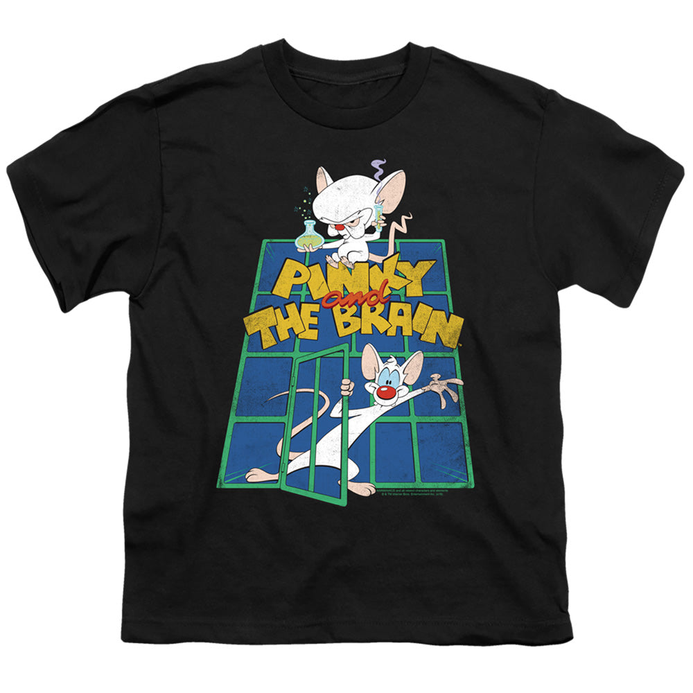 Pinky And The Brain Ol Standard Kids Youth T Shirt Black Officially Licensed