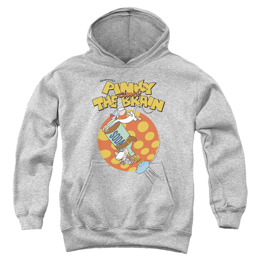 Pinky And The Brain Soda Kids Youth Hoodie Athletic Heather Officially Licensed