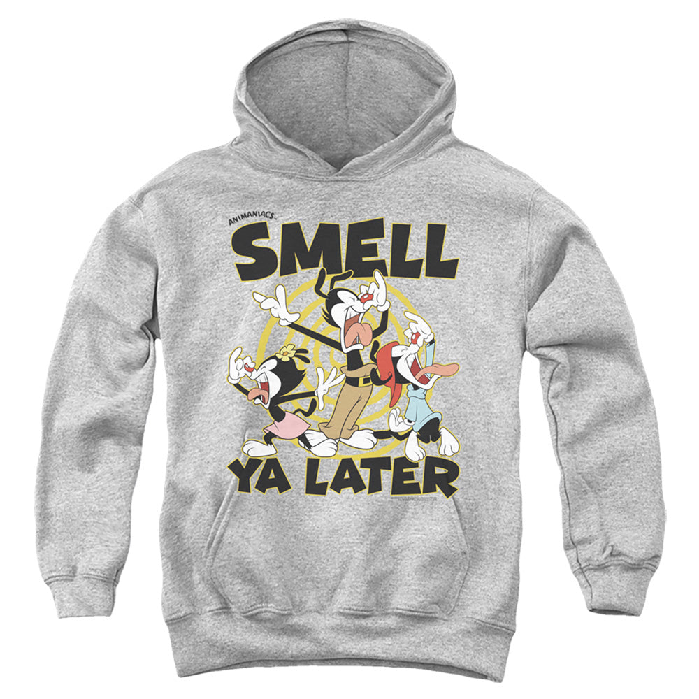 Animaniacs ell Ya Later Kids Youth Hoodie Athletic Heather Officially Licensed