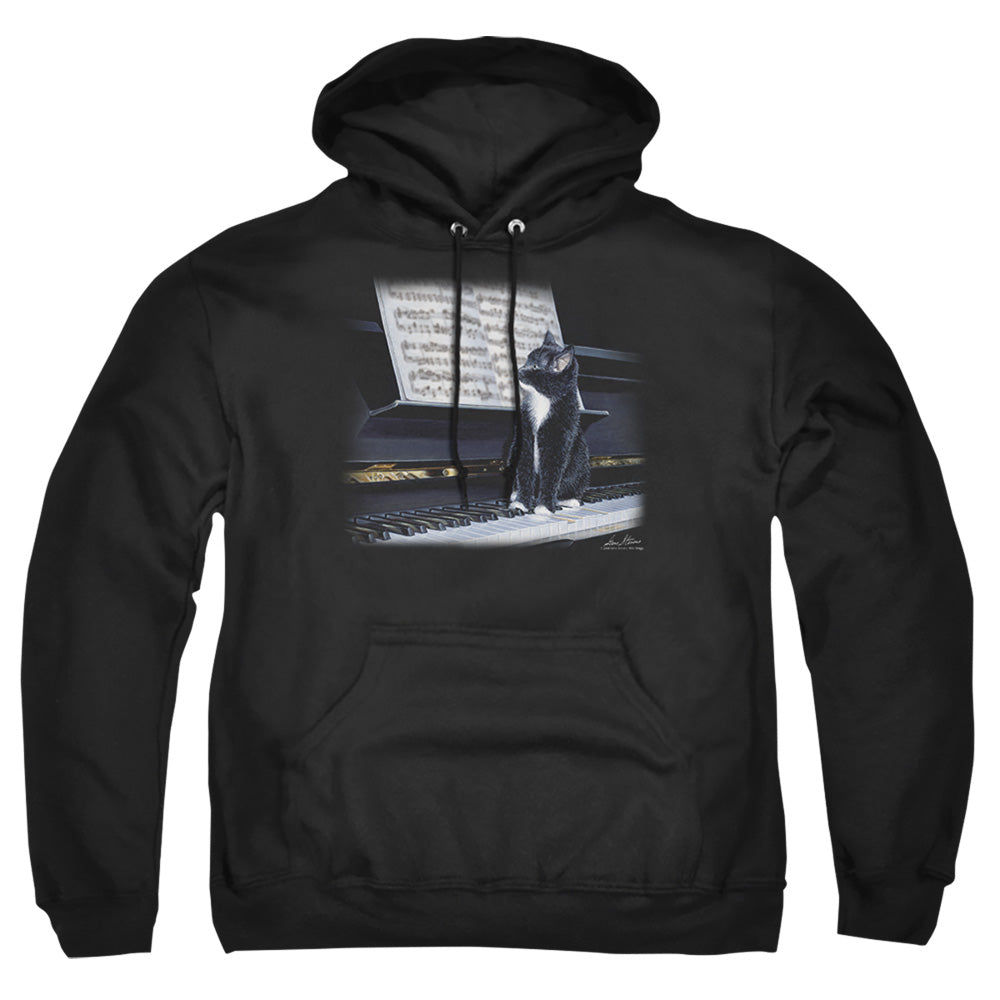 Wildlife Kitten On The Keys Mens Hoodie Black