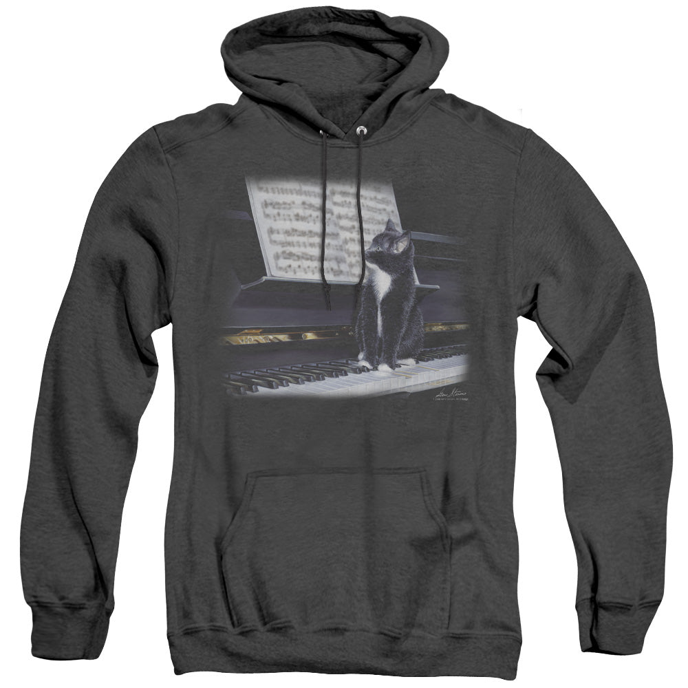 Wildlife Kitten On The Keys Mens Heather Hoodie Black Officially Licensed