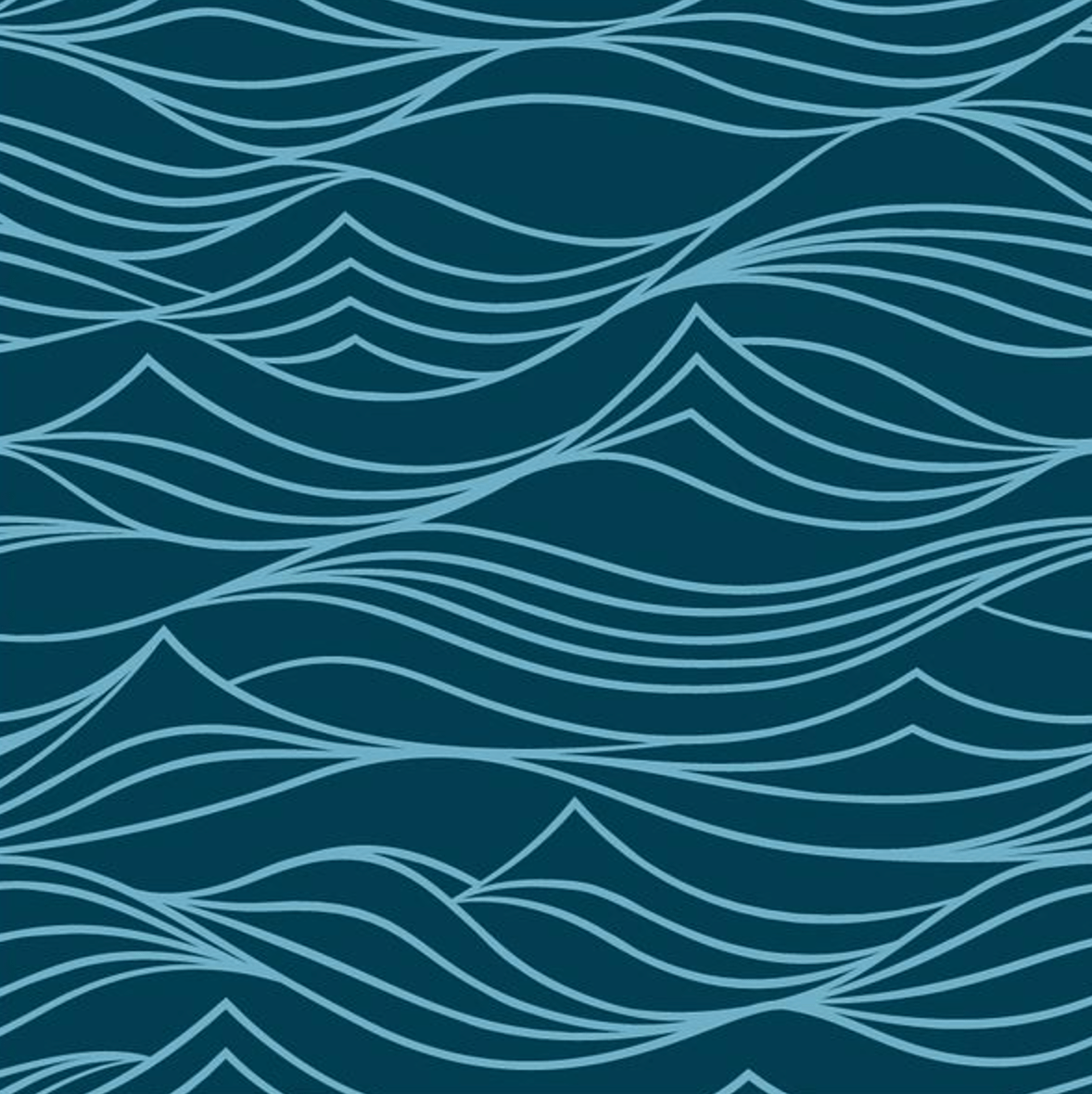 Small Reusable Cloth Furoshiki Gift Wrap | Whales & Waves