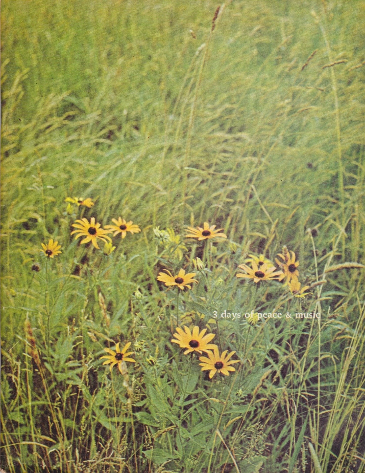 Original 1969 Woodstock Festival Concert Program