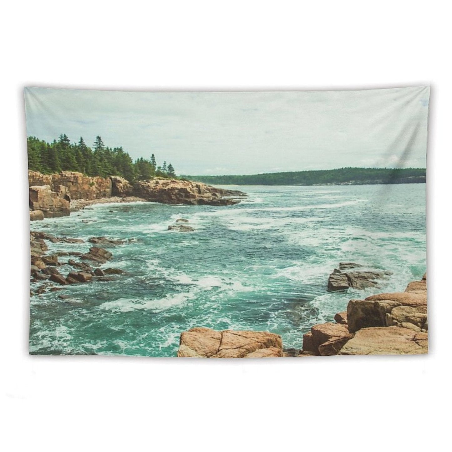 Acadia Coastline - National Park Ocean Tapestry