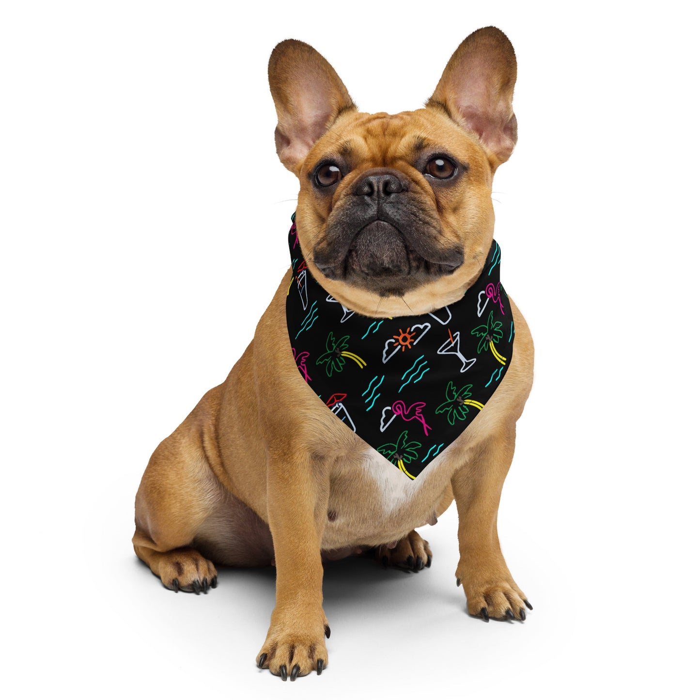 Five O'Clock Somewhere Black Bandana