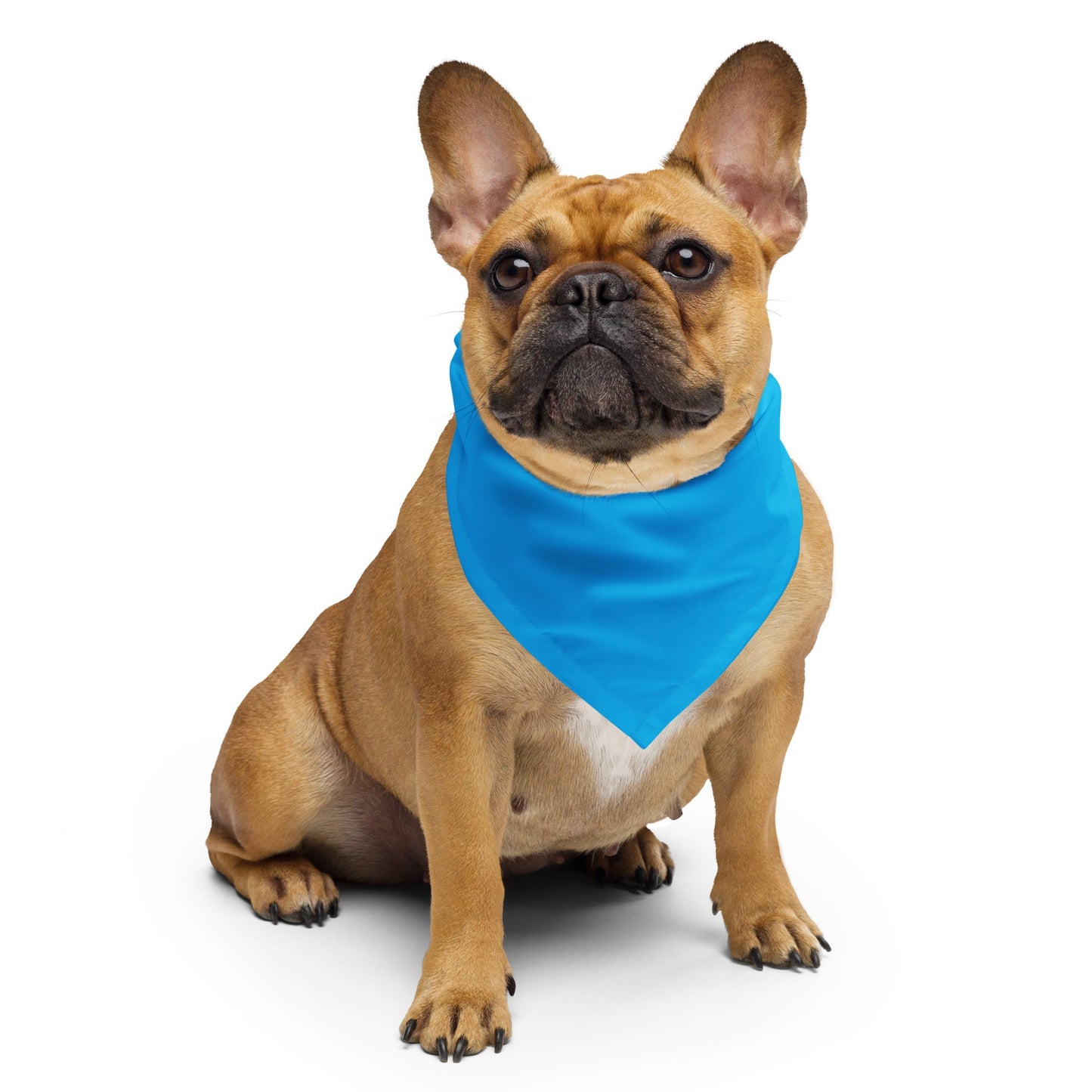 All Blue Bandana