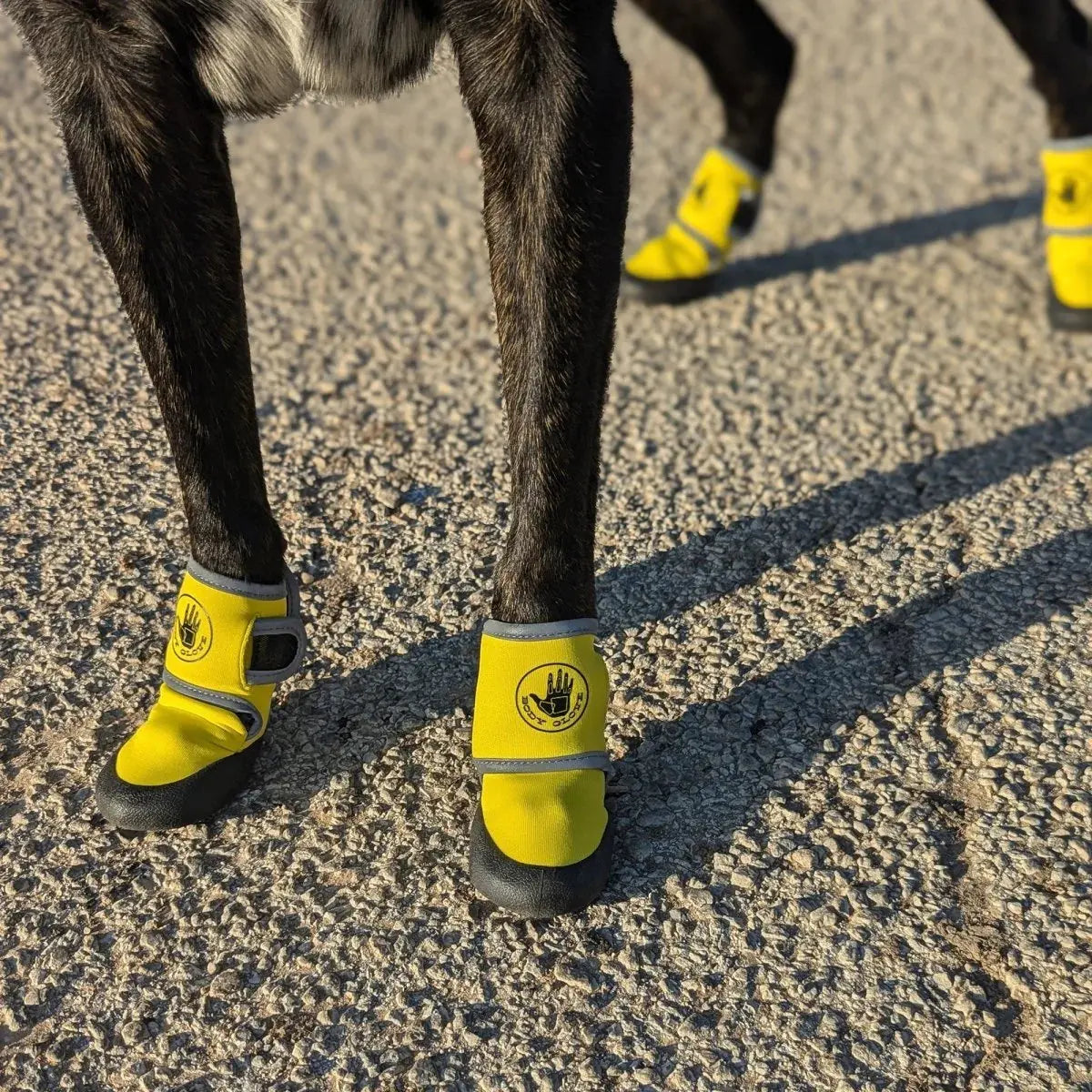 Body Glove Dog Booties