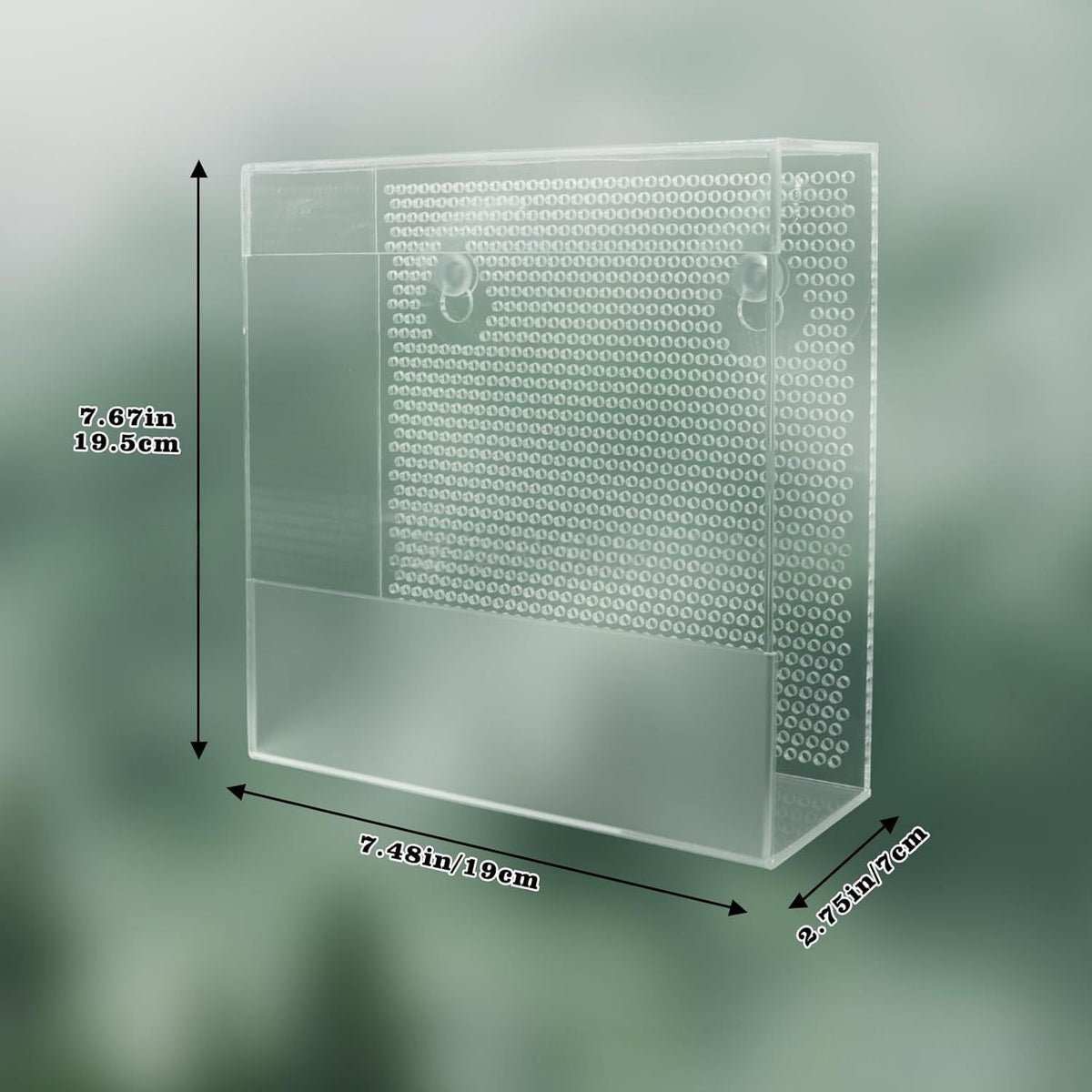 Clear Acrylic Wall-Mounted Live Insect Feeder Box