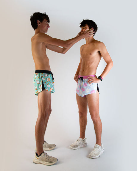 Men's Silly Goose 2" DS Split Shorts (XS, S, M, L, XL)