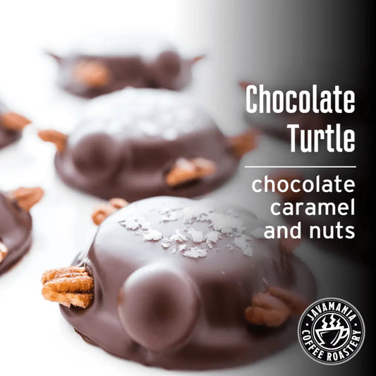 Chocolate Turtle