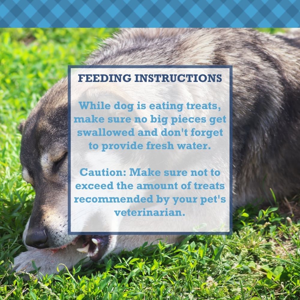 Country Living Whole Pig Ears Dog Treats – 100% Natural, Premium Pork Chews for Dental Care – (15-Pack)