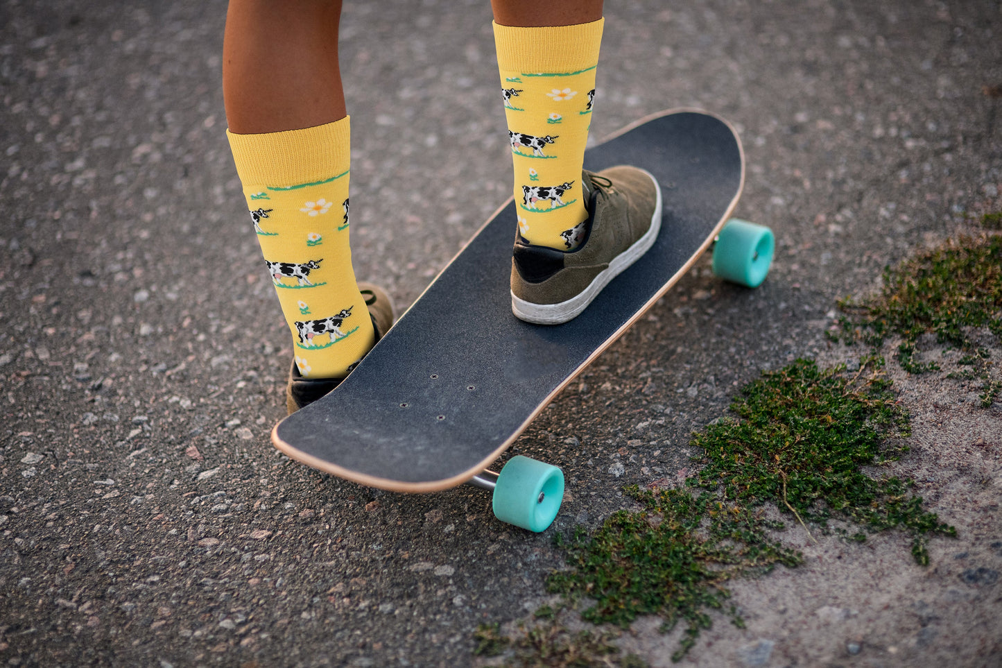 Cow Socks - Comfy Cotton for Men & Women