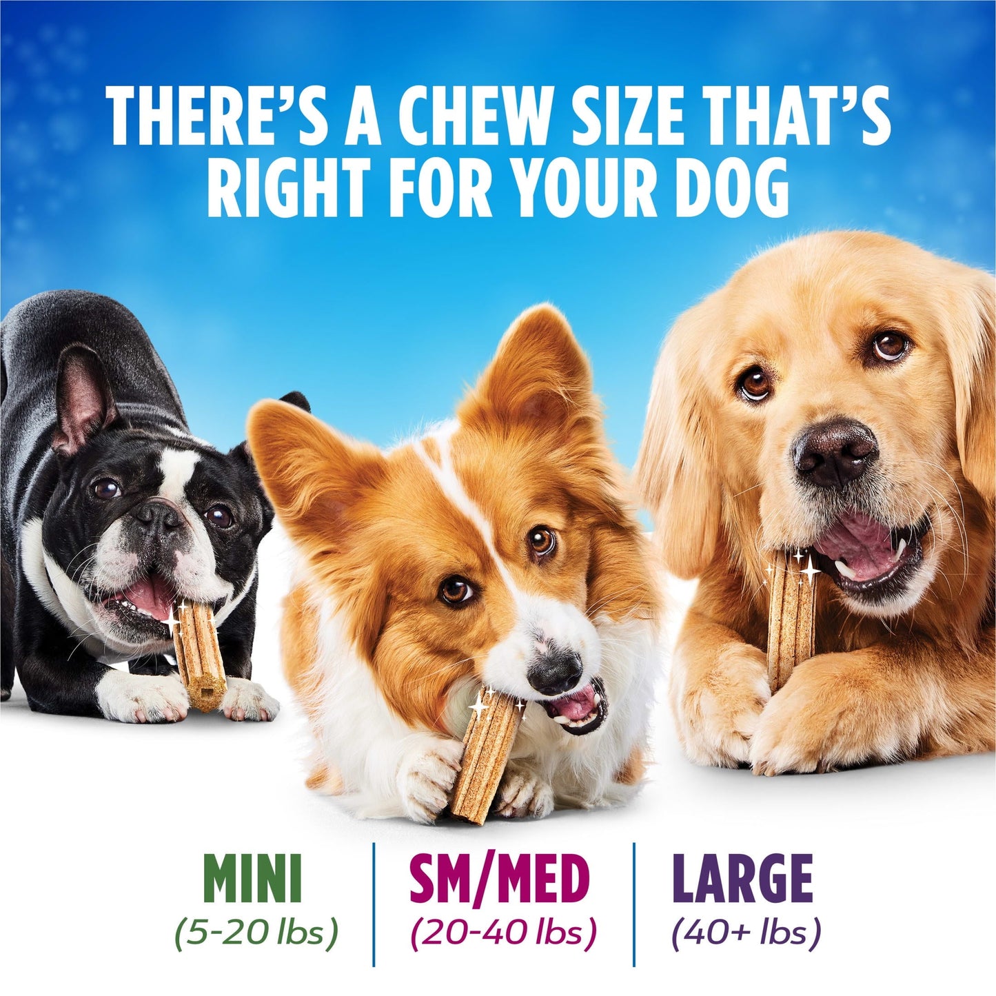 Purina Daily Oral Care Large Dog Treats Dental Chews with Chicken