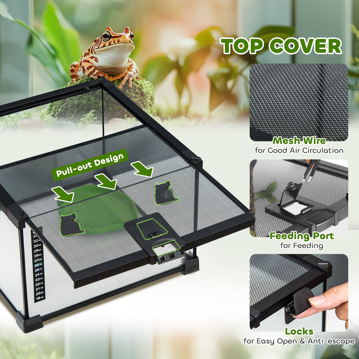 18L (4.8 Gallon) Glass Terrarium Kit with Accessories