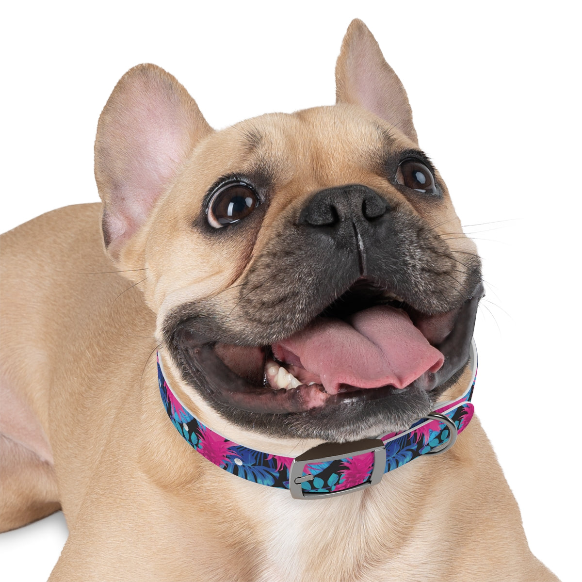 Rad Palm Pineapple Express Dog Collar