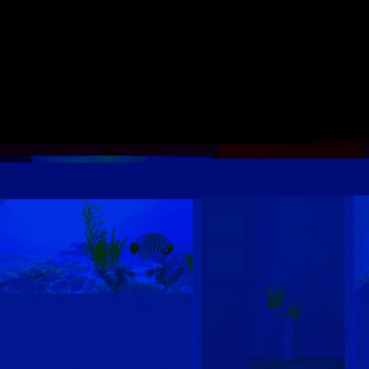 Aquarium Poster, Effect Underwater Background Sticker Thicken PVC Adhesive Static Cling Backdrop Fish Decorative Paper(61×30Cm)