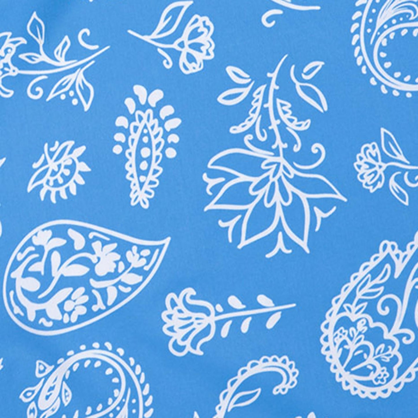 Americana Paisley - Blue | Mens Swim Short