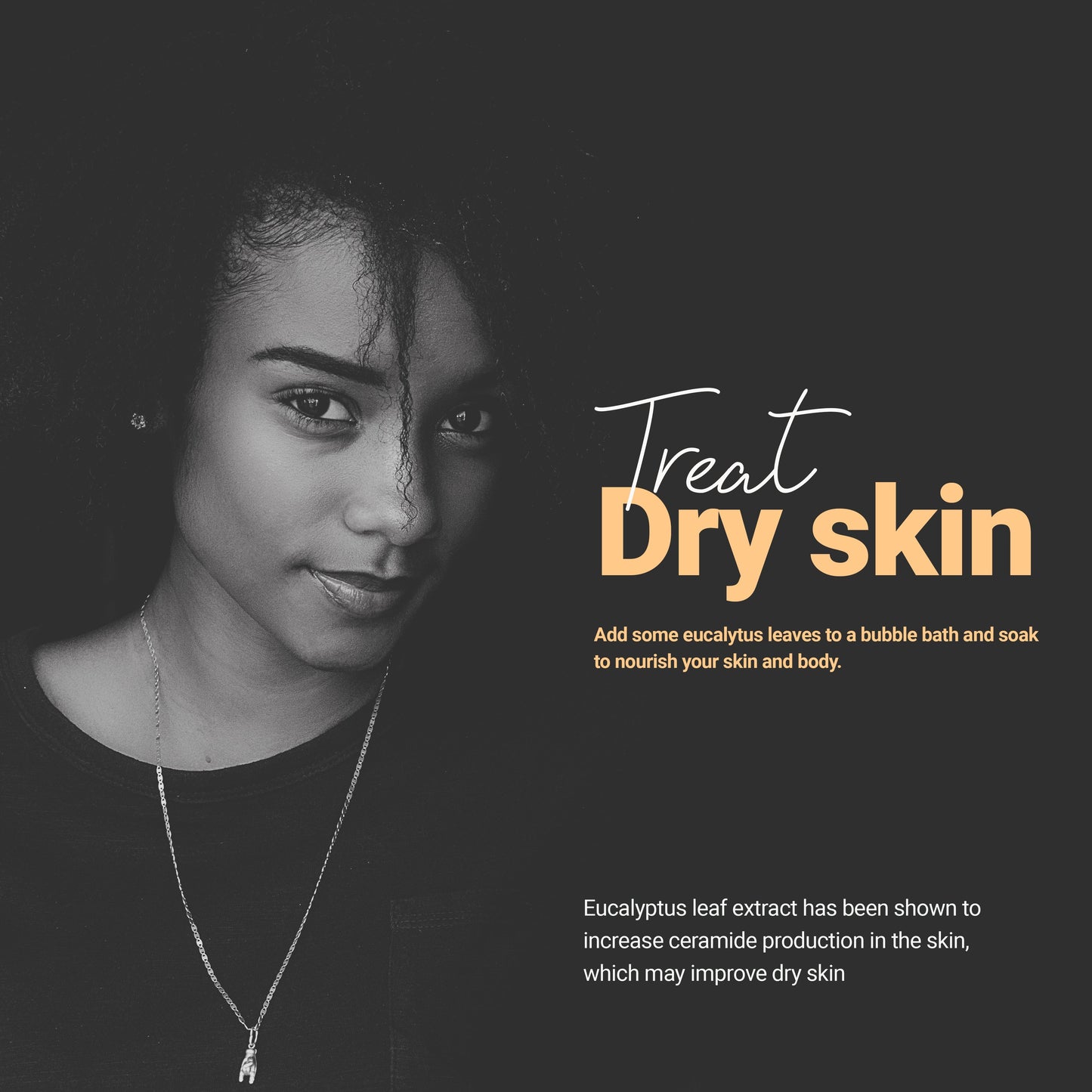 Eucalyptus Tea, Dried Eucalyptus leaves, 2.6 oz, Te De Eucalipto, Eucalipto Hojas Naturales, Detox Tea, Eucalyptus, Caffeine free. Brews 40 cups of Herbal Tea.