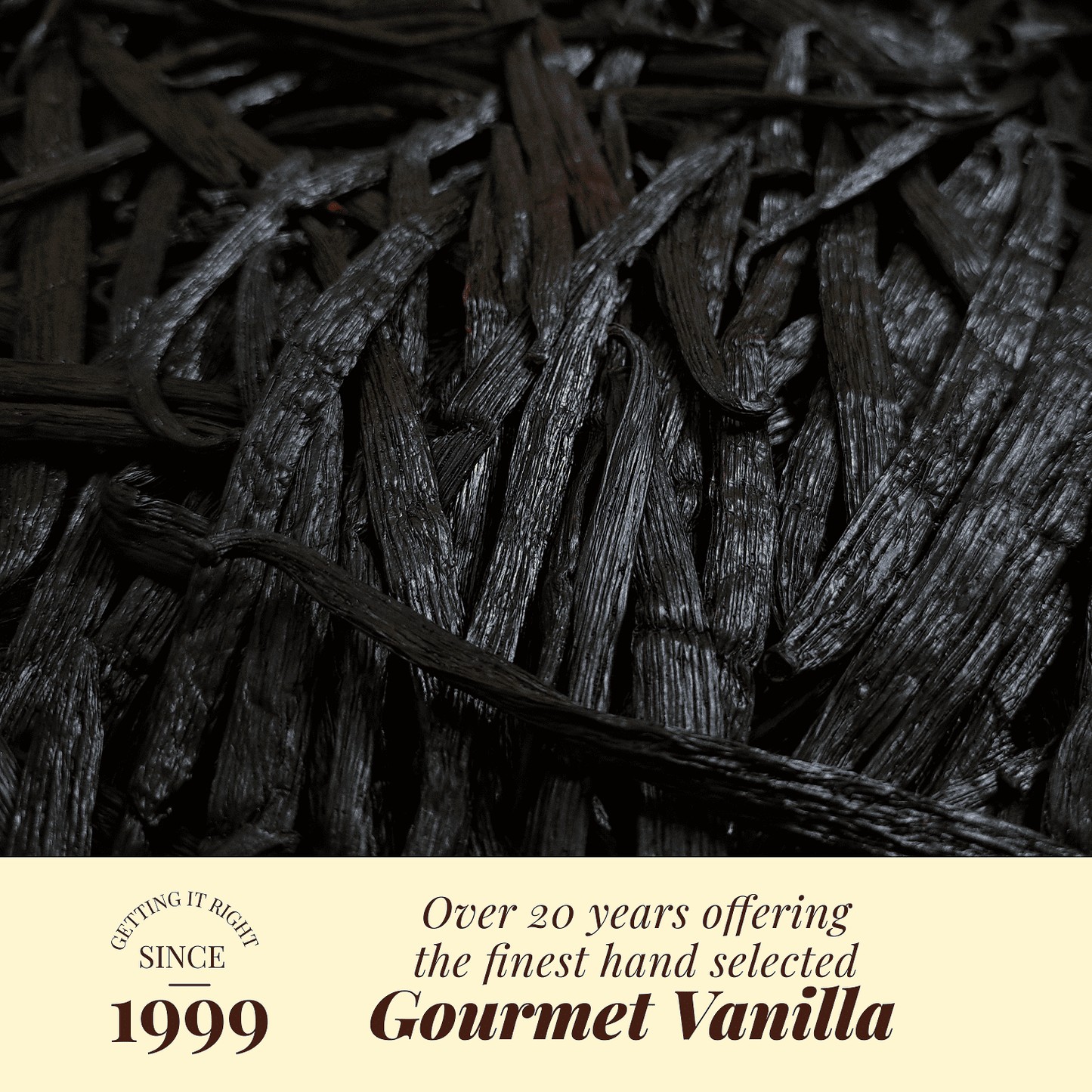 Whole Bulk Vanilla Beans - Order - NON GMO Gourmet Vanilla Pods 6 - 8 Inches For making Baking Whole Premium Vanilla Beans Grade A  by New York Vanilla