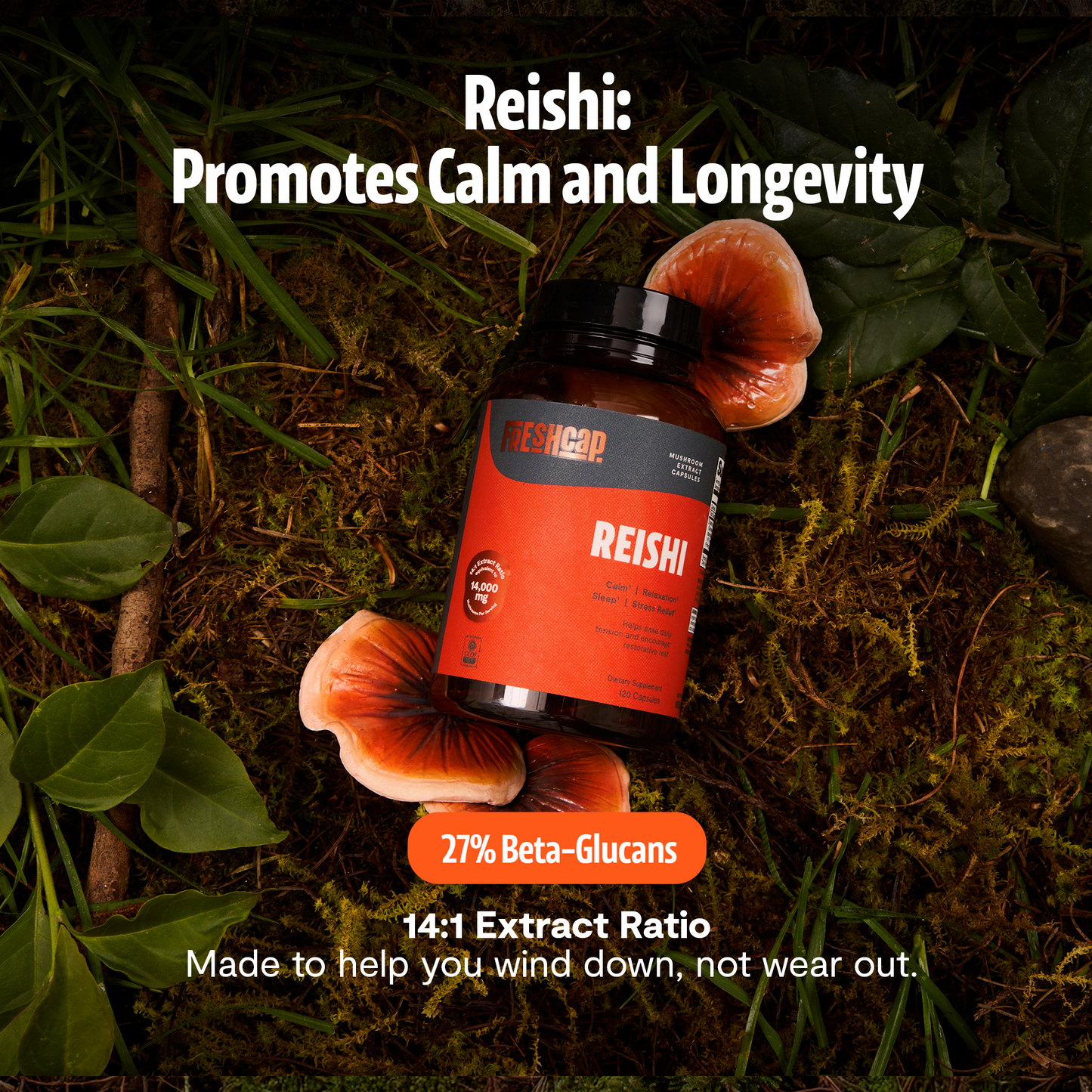 Reishi Mushroom Extract Capsules - Triathlete Store