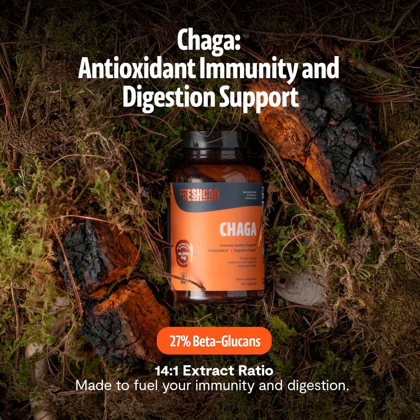 Chaga Mushroom Extract Capsules - Triathlete Store