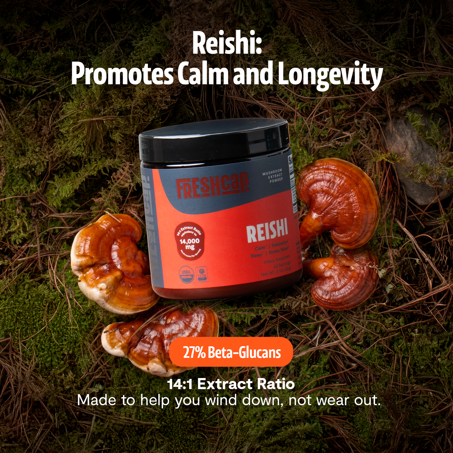 Reishi Mushroom Extract Powder - Triathlete Store