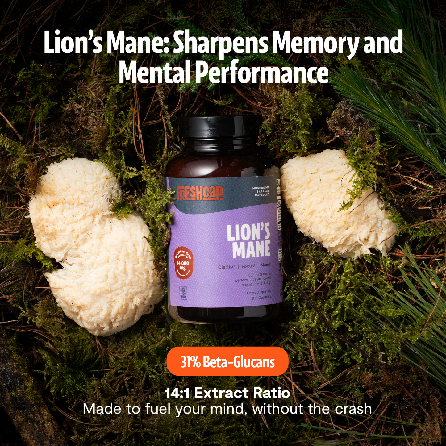 Lion's Mane Mushroom Extract Capsules - Triathlete Store