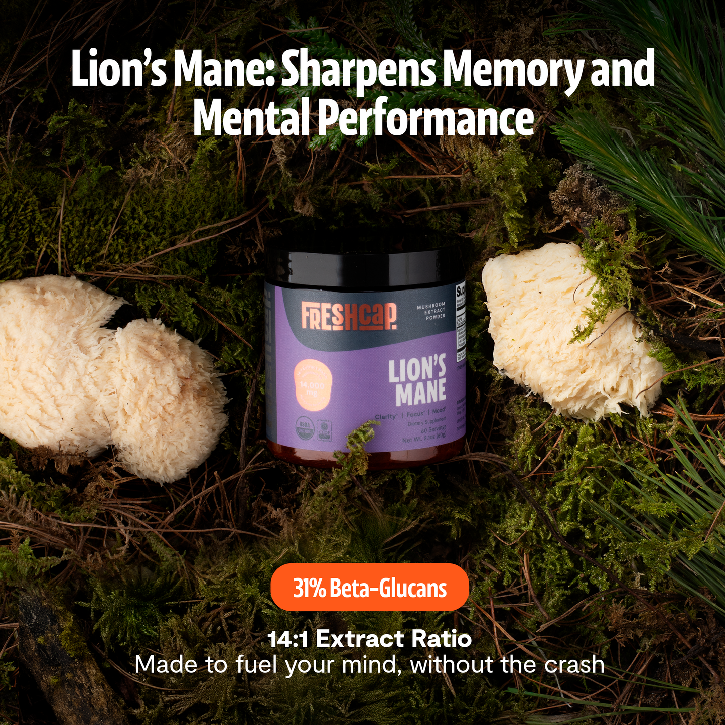 Lion's Mane Mushroom Extract Powder - Triathlete Store