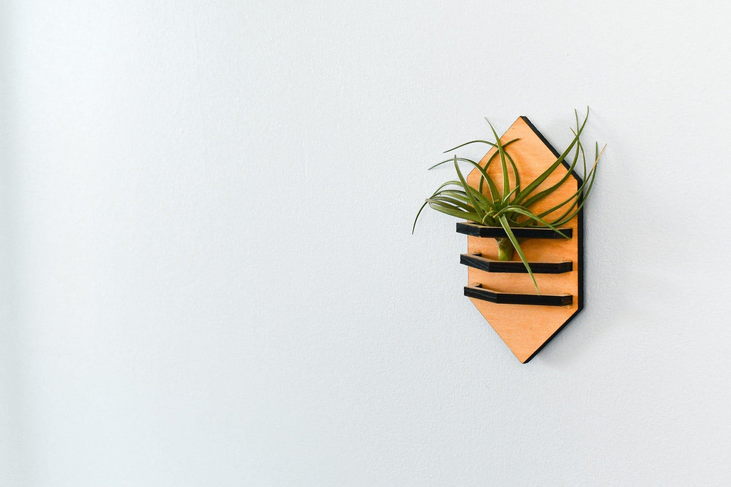 Geometric Air Plant Holder