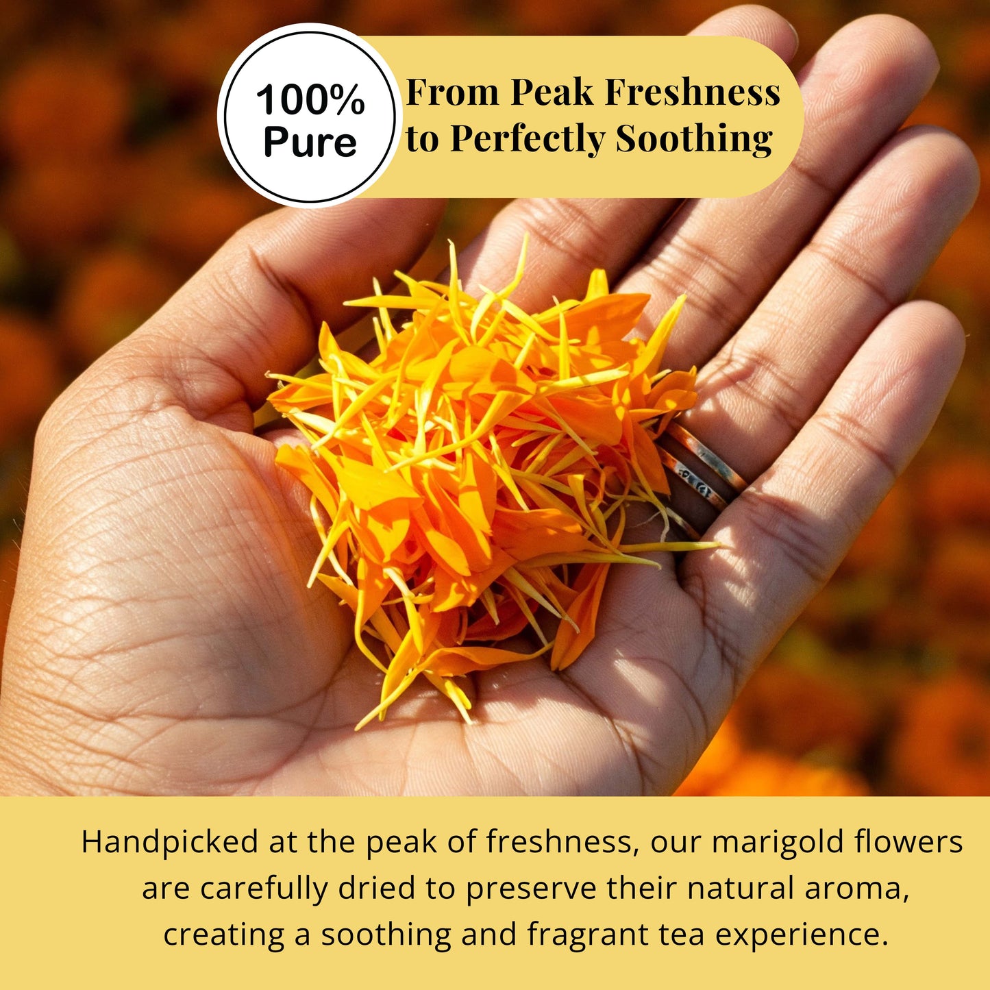 Dried Marigold Calendula flowers, Calendula Tea, 2.6oz I Calendula Officinalis | Caléndula pétalos I Akshit Pétales de Souci Bio | Flor De Calendula