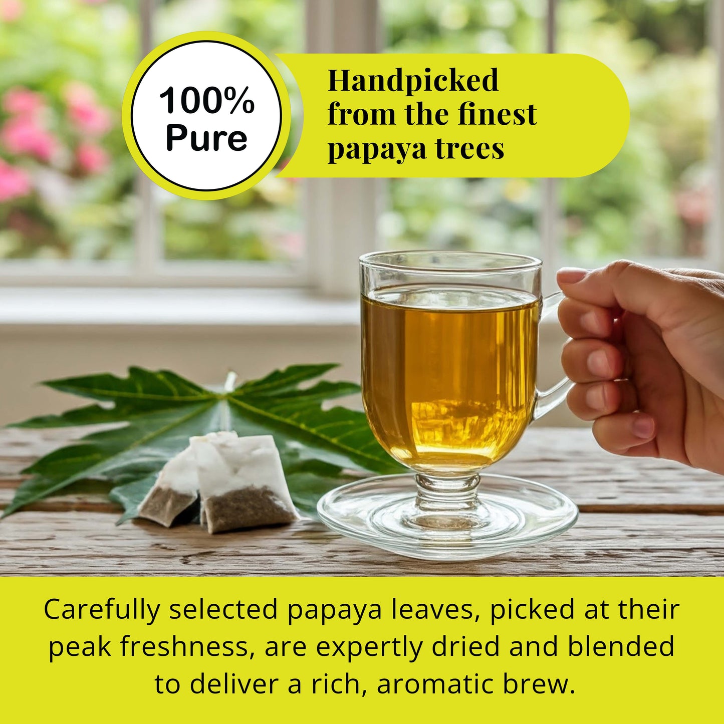 Akshit 75 Papaya Leaf Tea Bags – Caffeine-Free Herbal Support for Immunity & Digestion