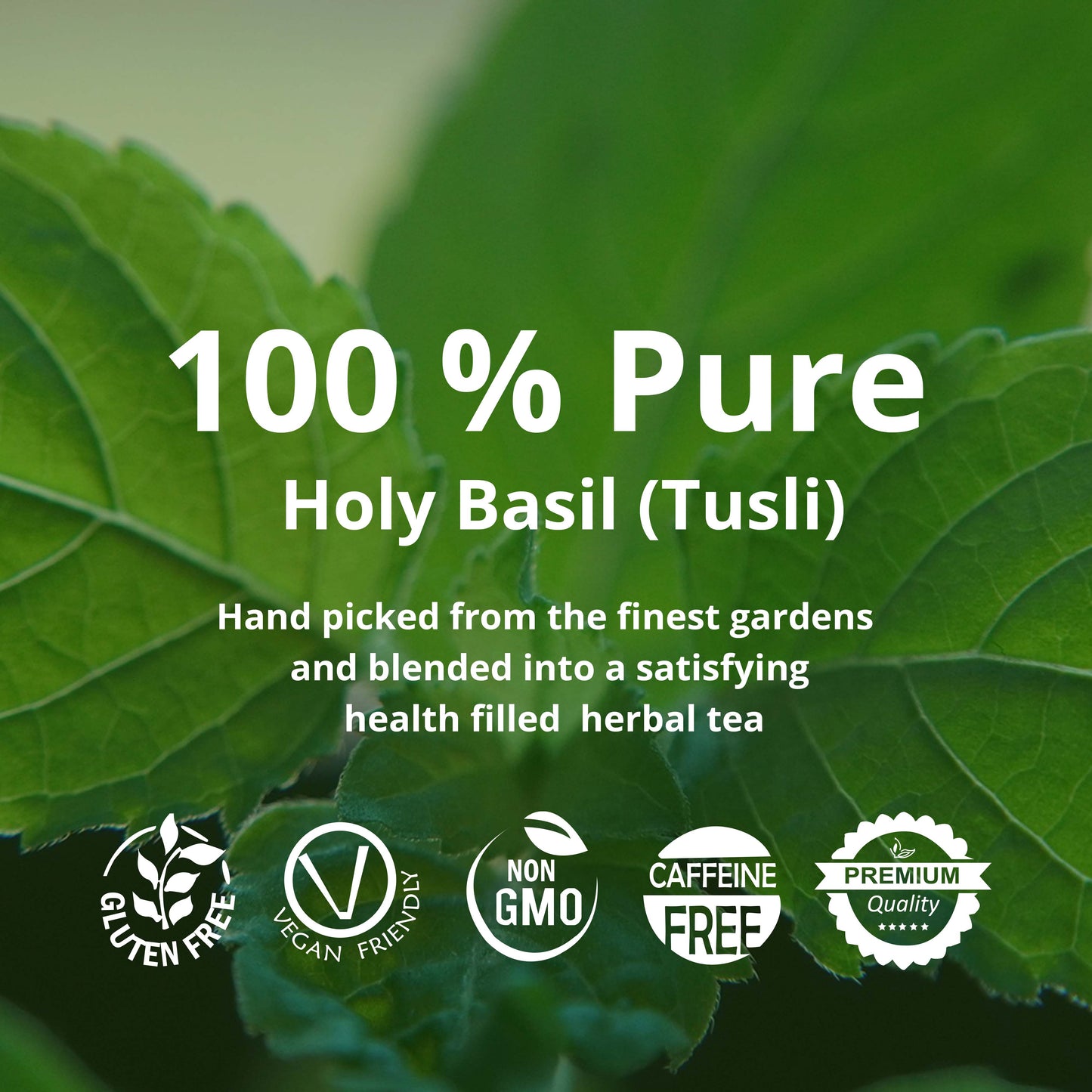 Akshit Holy Basil Tea ( Tulsi Leaf Tea ) ( 75 Tea Bags), Made with Pure Dried Holy Basil Tea Leaves Immune Support Tea, Caffeine-free, Non-Gmo, Tulsi Tea.