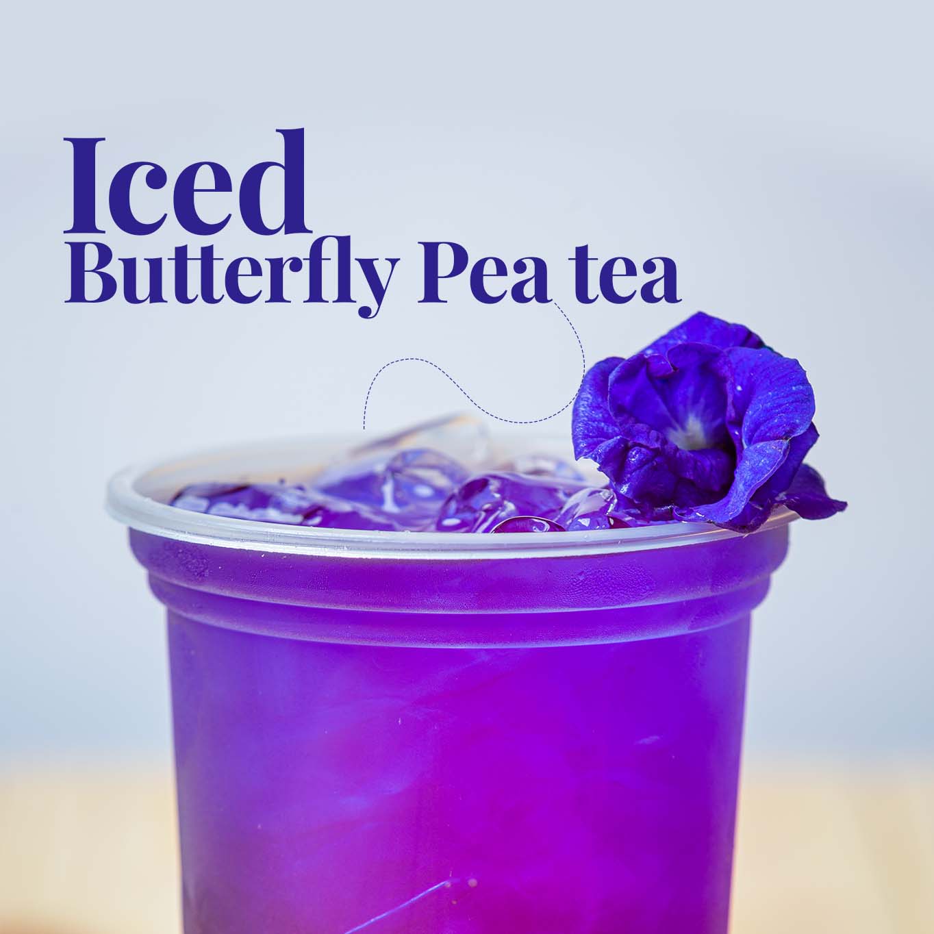 Akshit Butterfly Pea Flower ( Blue Tea ) - 75 Tea Bags, Natural Dried Butterfly Pea Flowers, Caffeine-Free, NON-GMO