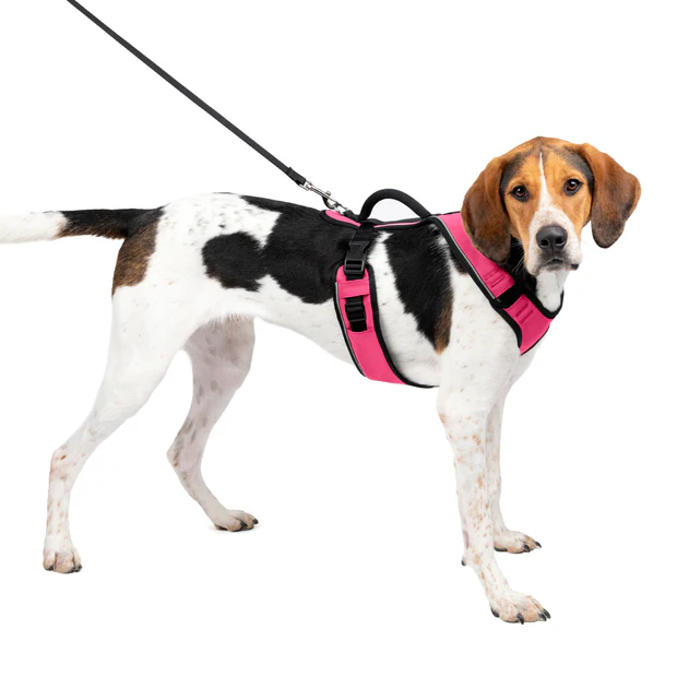 Petsafe Easysport Harness Pink Lg