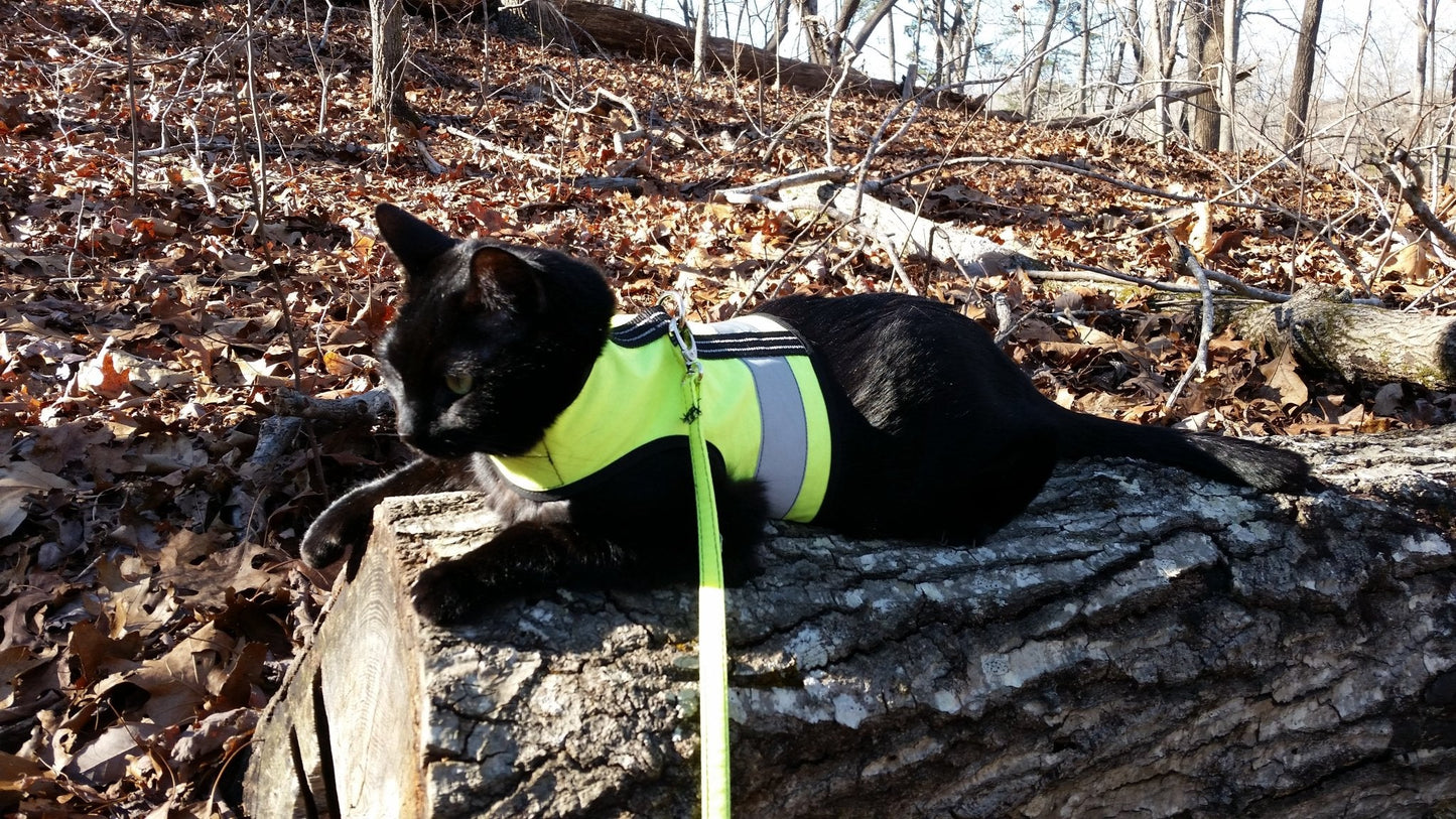 Kitty Holster Reflective Safety Harness (Made in USA)