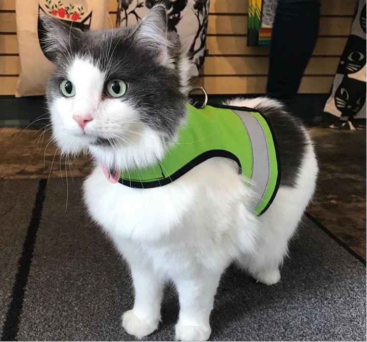 Kitty Holster Reflective Safety Harness (Made in USA)