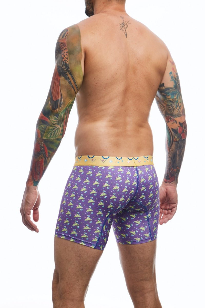 MaleBasics Boxer Brief Hipster